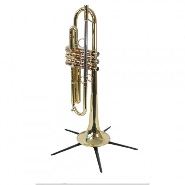 CAROL_BRASS_Giuffredi_All_around_stehend_1.jpg