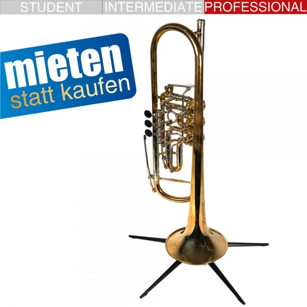 OBERRAUCH__Milano_unlackiert_1_Miete.jpg