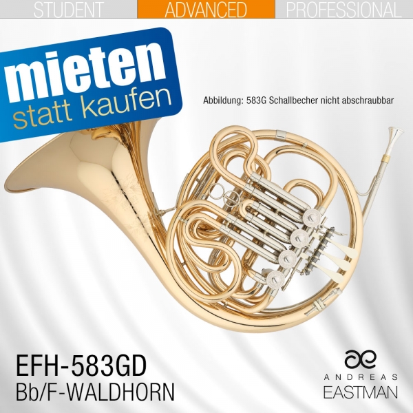 EASTMAN_Miete_EFH583GD_Doppelhorn.jpg